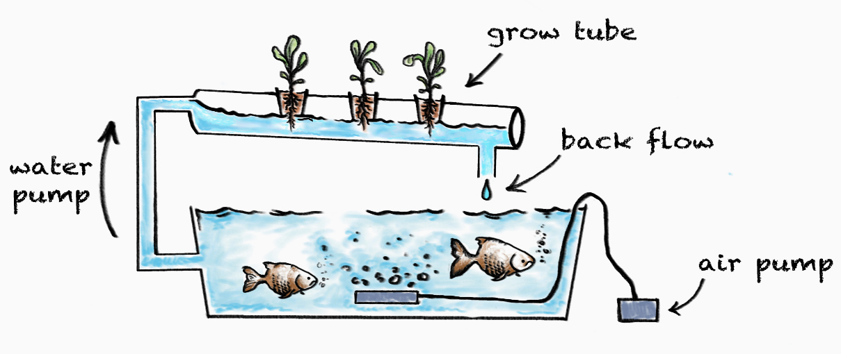 Illustration Nutrient Film Technology